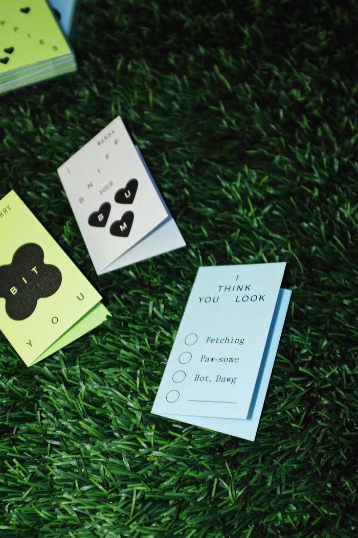 goodboy Snack Size x KkCo x Goods Gang - pack of 12 mini cards