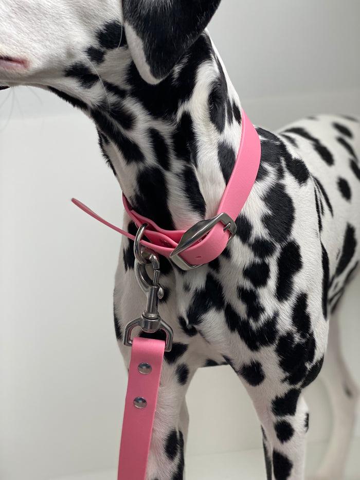 Goodboy Walk By Good Boy - The Any Way Lead - Bubblegum