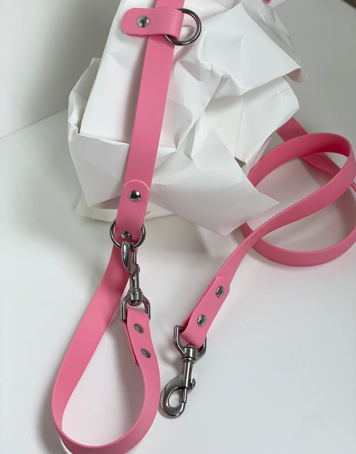 Goodboy Walk By Good Boy - The Any Way Lead - Bubblegum