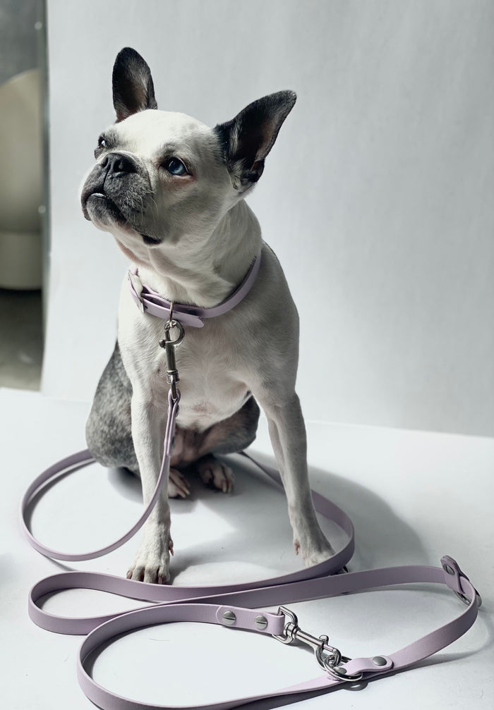 Goodboy Walk By Good Boy - The Any Way Lead - Pastel Purple (Lilac)