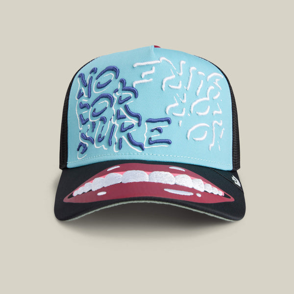 goorin bros. Baseball Means Understood MULTI COLOR Hat