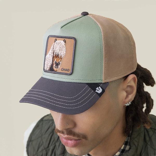 Goorin Bros. Baseball Tricolor Horse MULTI COLOR Hat