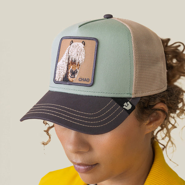 Goorin Bros. Baseball Tricolor Horse MULTI COLOR Hat