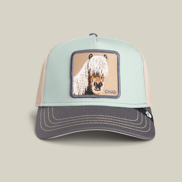 goorin bros. Baseball Tricolor Horse MULTI COLOR Hat