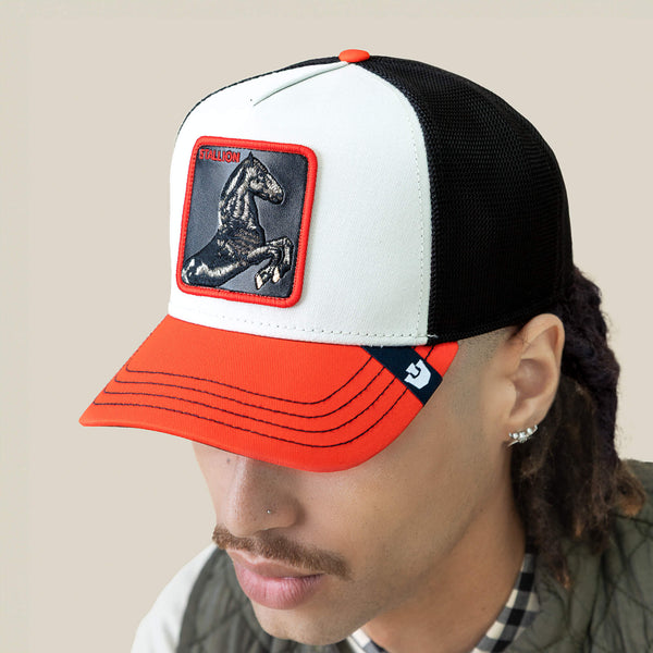 Goorin Bros. Baseball Tricolor Stallion MULTI COLOR Hat