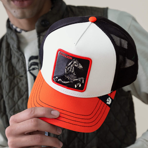 Goorin Bros. Baseball Tricolor Stallion MULTI COLOR Hat