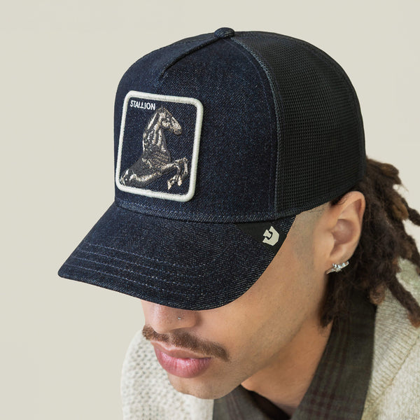 Goorin Bros. Baseball Denim Stallion DARK DENIM Hat