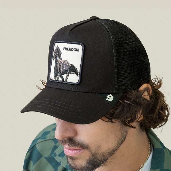 Goorin Bros. Baseball Freedom Horse VOID Hat
