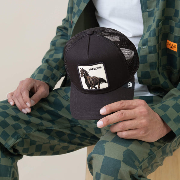 Goorin Bros. Baseball Freedom Horse VOID Hat