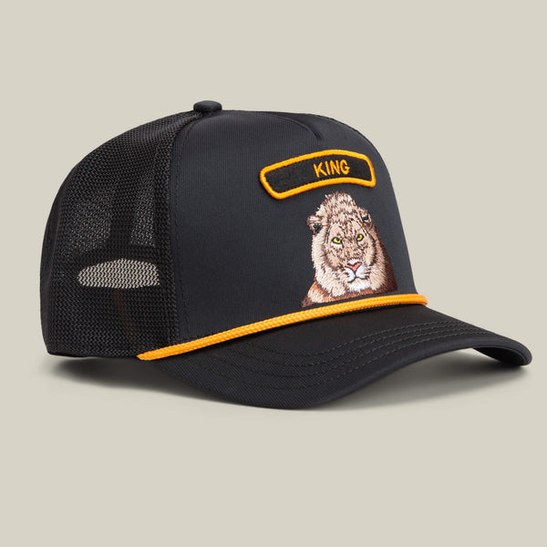 Goorin Bros. Baseball GB2 Lion VOID Hat