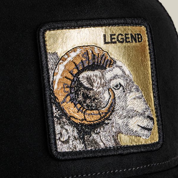Goorin Bros. Baseball Golden Legend VOID Hat
