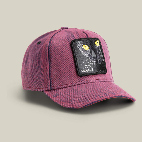 Goorin Bros. Baseball Rail Bird CRUSH Hat