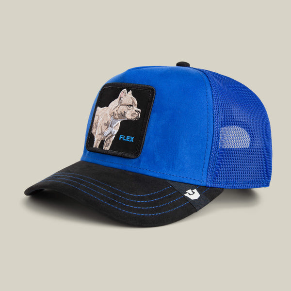 Goorin Bros. Baseball Suede Pitbull ROYAL / VOID Hat
