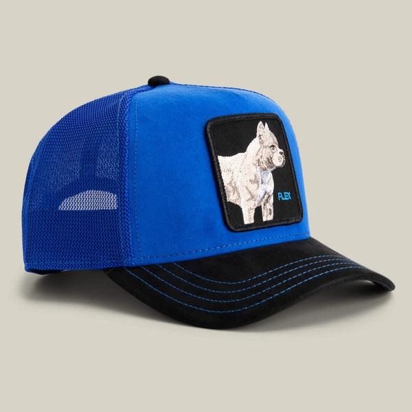 Goorin Bros. Baseball Suede Pitbull ROYAL / VOID Hat