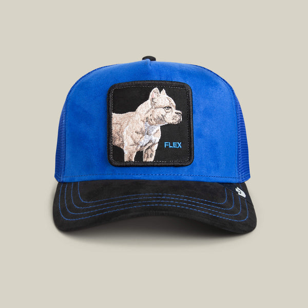 goorin bros. Baseball Suede Pitbull ROYAL / VOID Hat