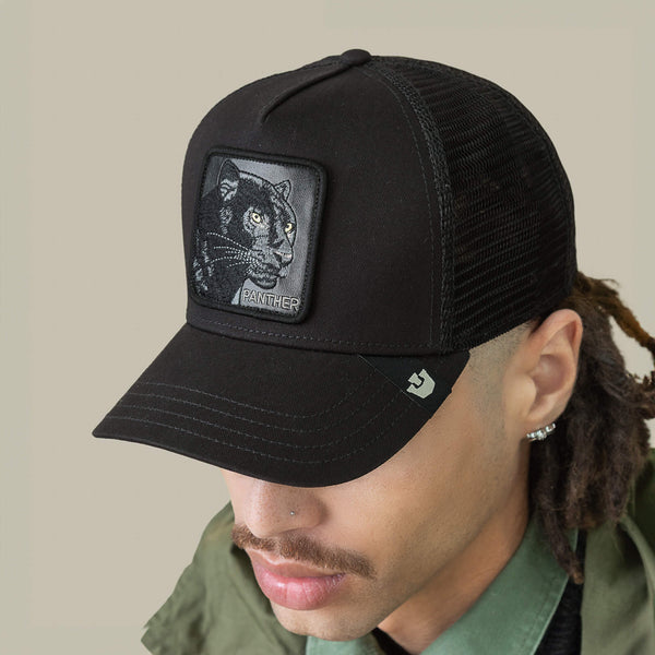 Goorin Bros. Baseball The Panther VOID Hat