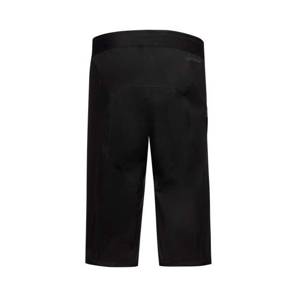 Gore Wear LUPRA GORE-TEX Shorts Black
