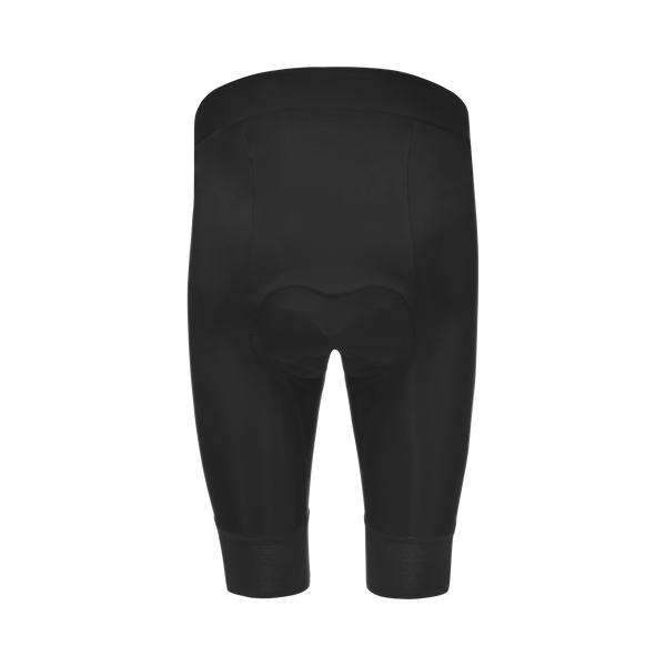 Gore Wear SWIFTRIDE Short Tights Mens Black