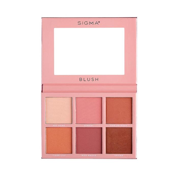 gorgeous Sigma Beauty Blush Cheek Palette