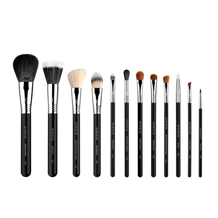 gorgeous Sigma Beauty Essential Brush Set