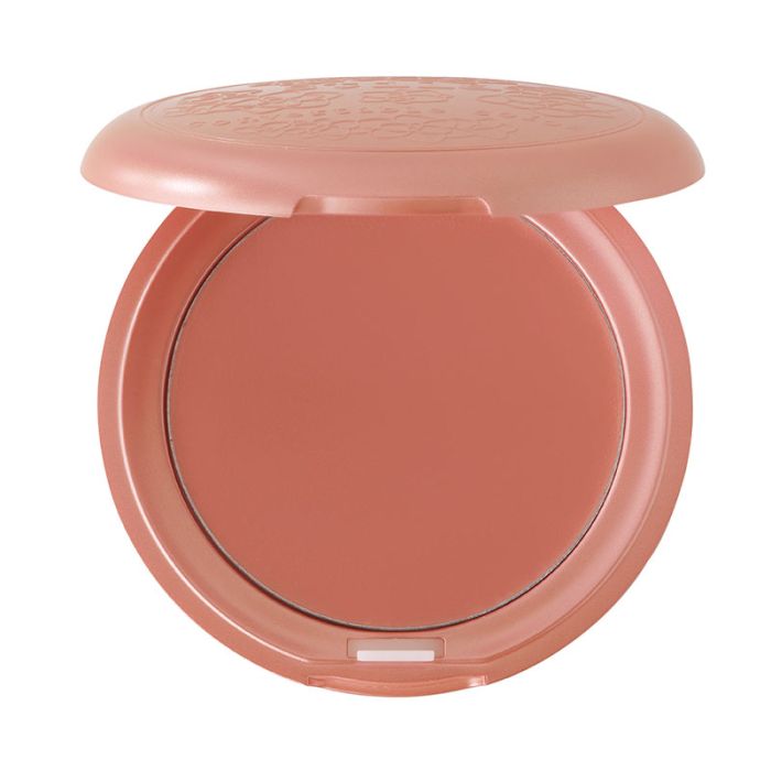 gorgeous Stila Convertible Color Lips and Cheek