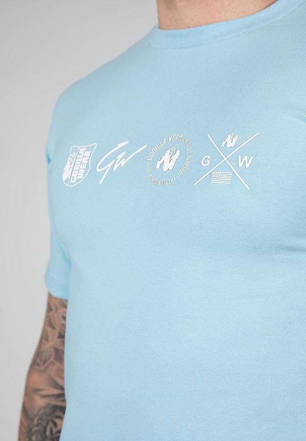 Gorilla Wear Swanton T- Shirt - Blue