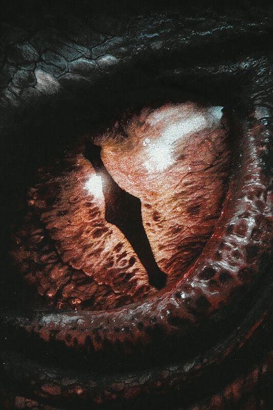 Gothicana By Emp "Smaug" T-Shirt Black By The Hobbit