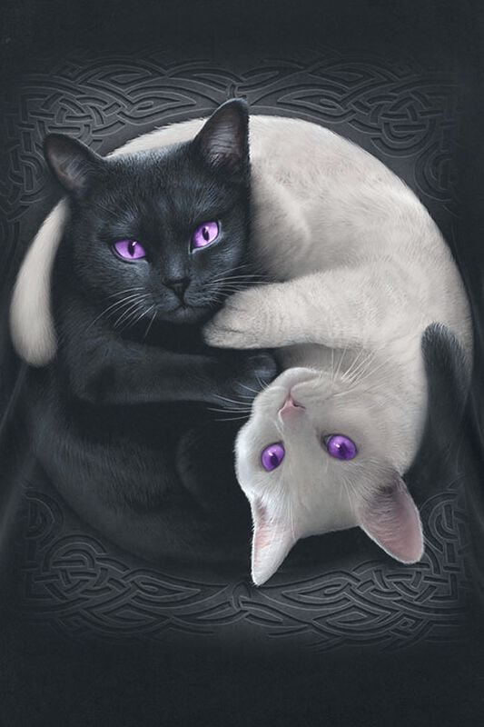 Gothicana By Emp "Yin Yang Cats" Top Black By Spiral