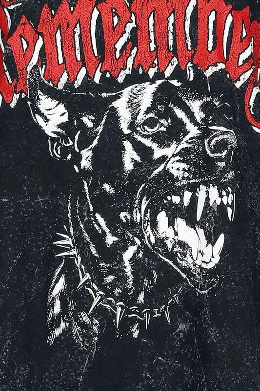 Gothicana By Emp "Hound" T-Shirt Anthracite By A Day To Remember