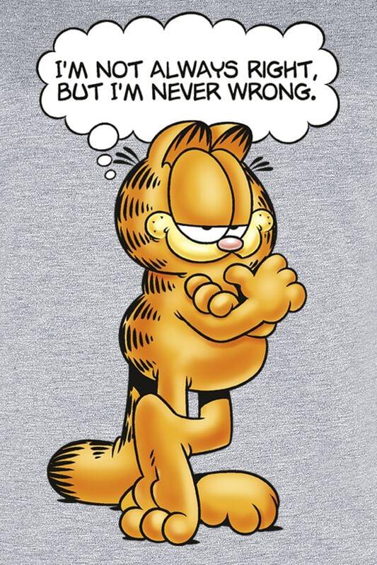 Gothicana By Emp "I´m Not Always Right But I´m Never Wrong" T-Shirt Grey By Garfield