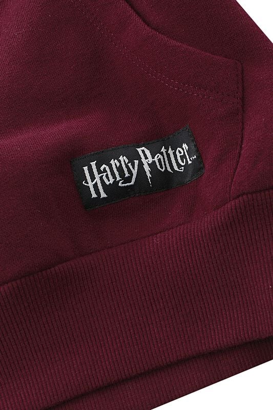 Gothicana By Emp "Kids - Gryffindor" Hoodie Burgundy By Harry Potter