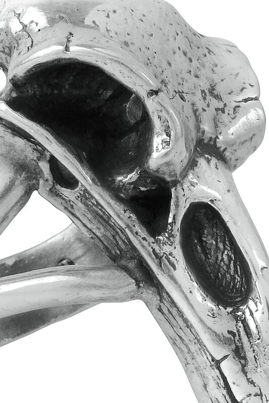Gothicana By Emp "Raven Skull" Ring Silver-coloured By Alchemy Gothic