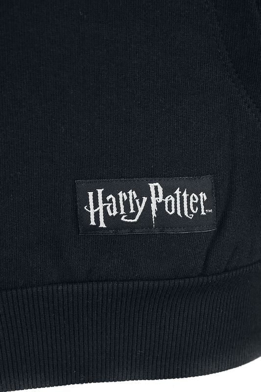 Gothicana By Emp "Slytherin" Hoodie Black By Harry Potter