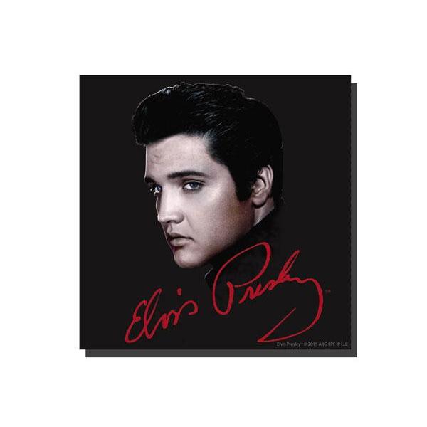 graceland Elvis Presley 50's Portrait 8x8 Canvas Print