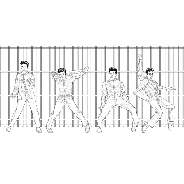 Graceland Elvis: The Coloring Book