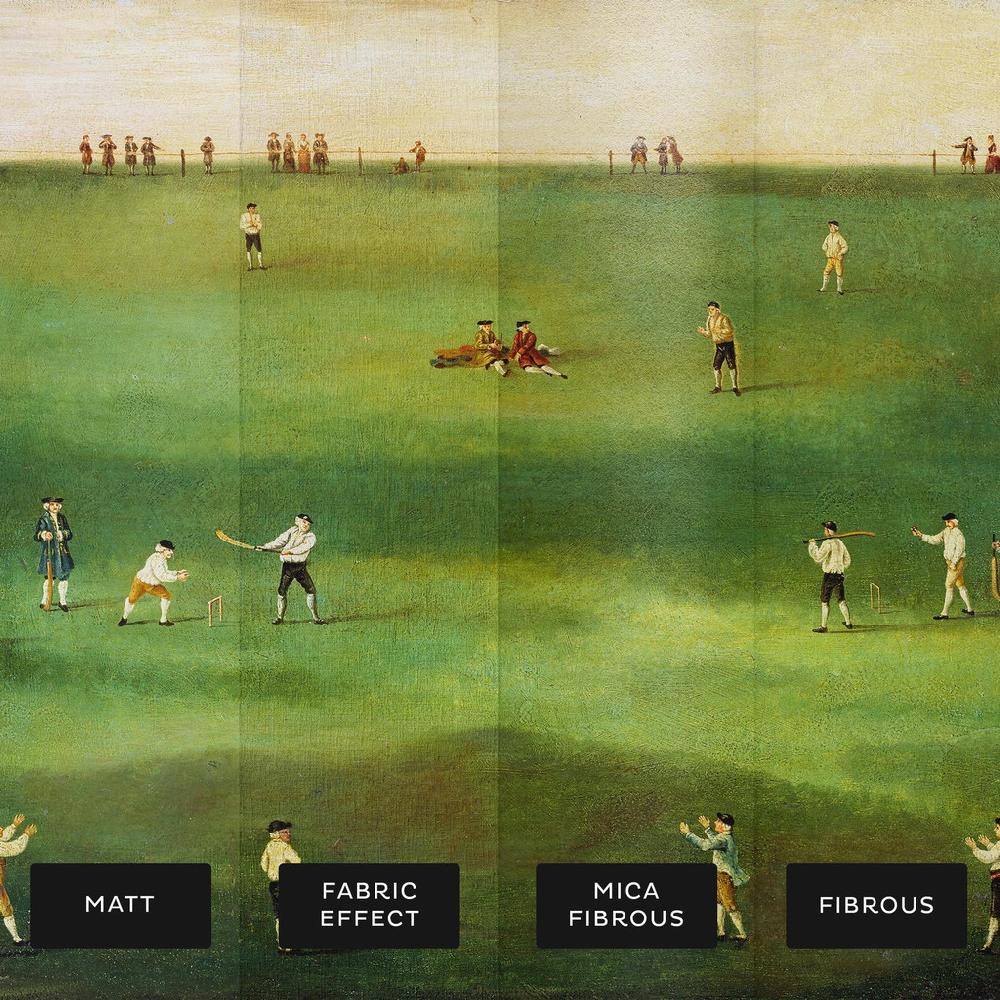 Graham & Brown An Exact Representation Of The Game Of Cricket Bespoke Mural