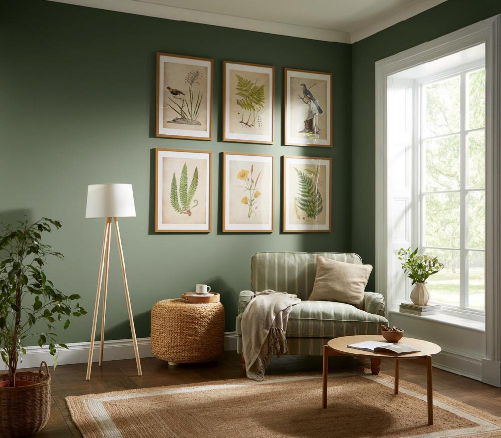 Graham & Brown Aspidium Lonchitis XXII Green Wall Art