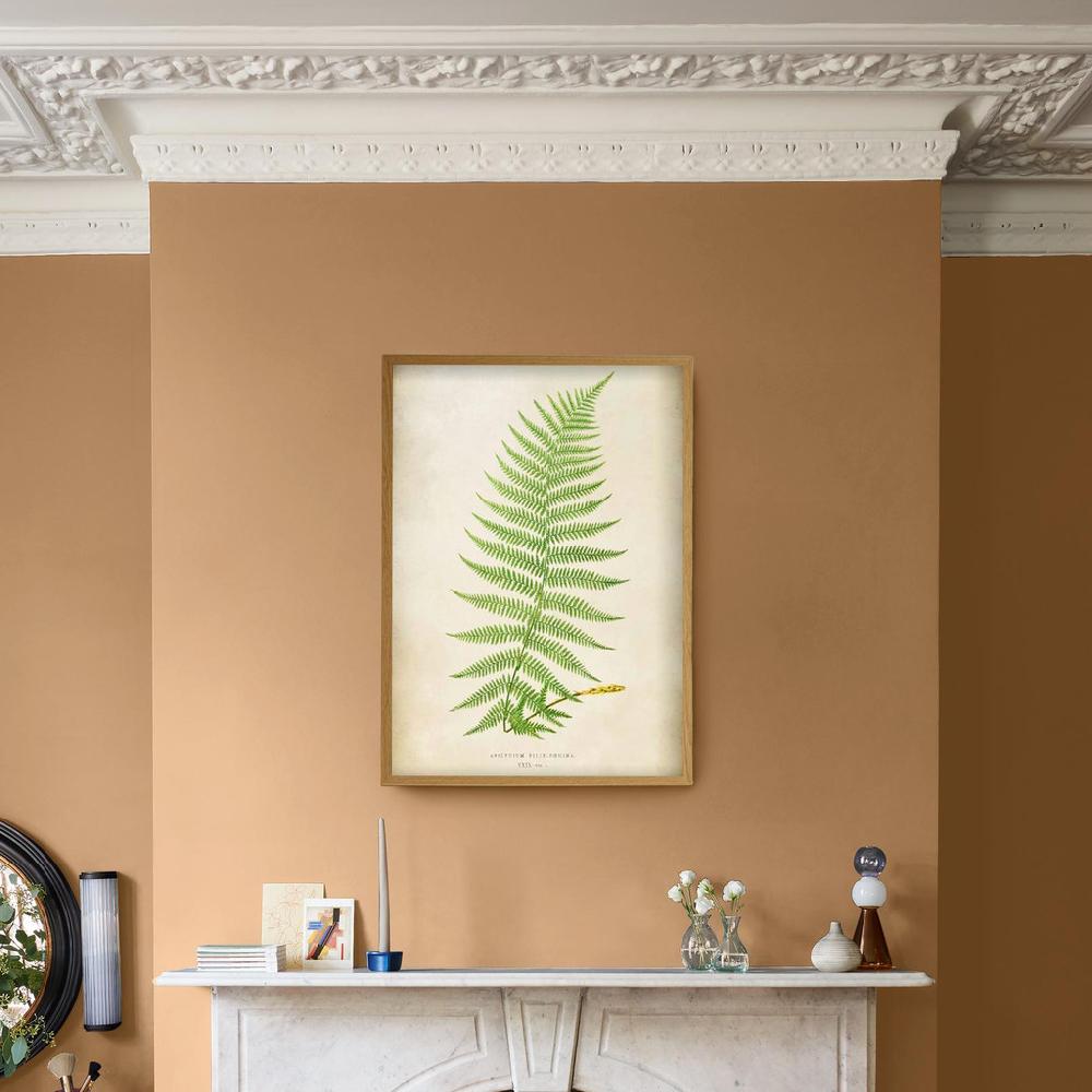 Graham & Brown Asplenium Filix-Foemina Green Wall Art