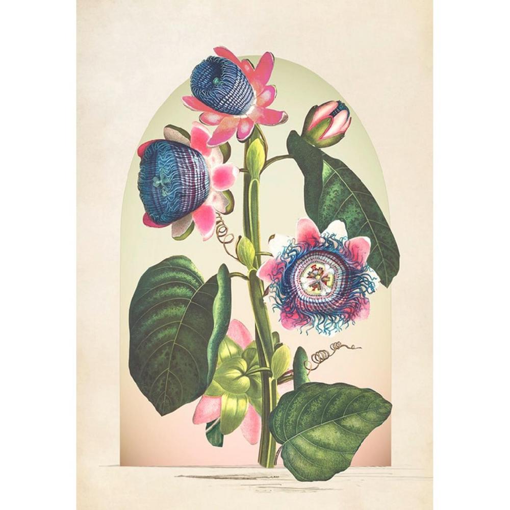 graham & brown Botanique Jungle Bloom Multicolor Wall Art