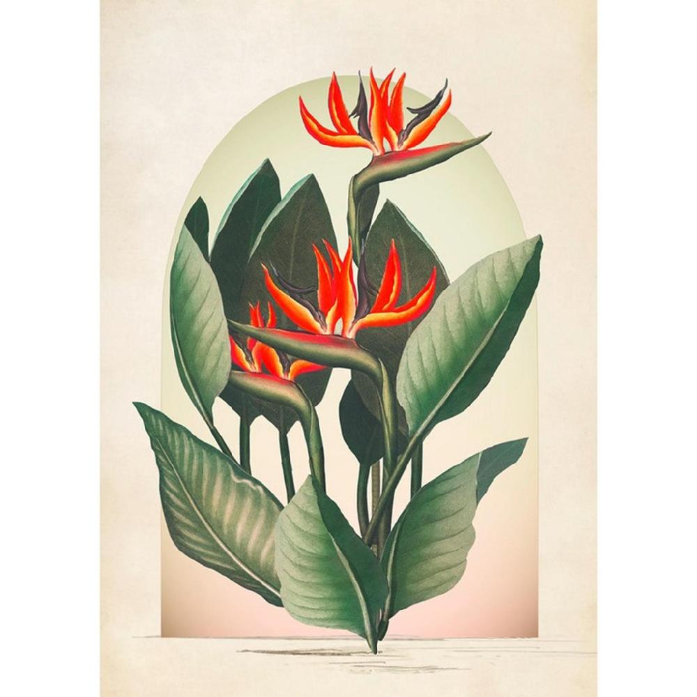 graham & brown Botanique Jungle Exotic Floral Multicolor Wall Art