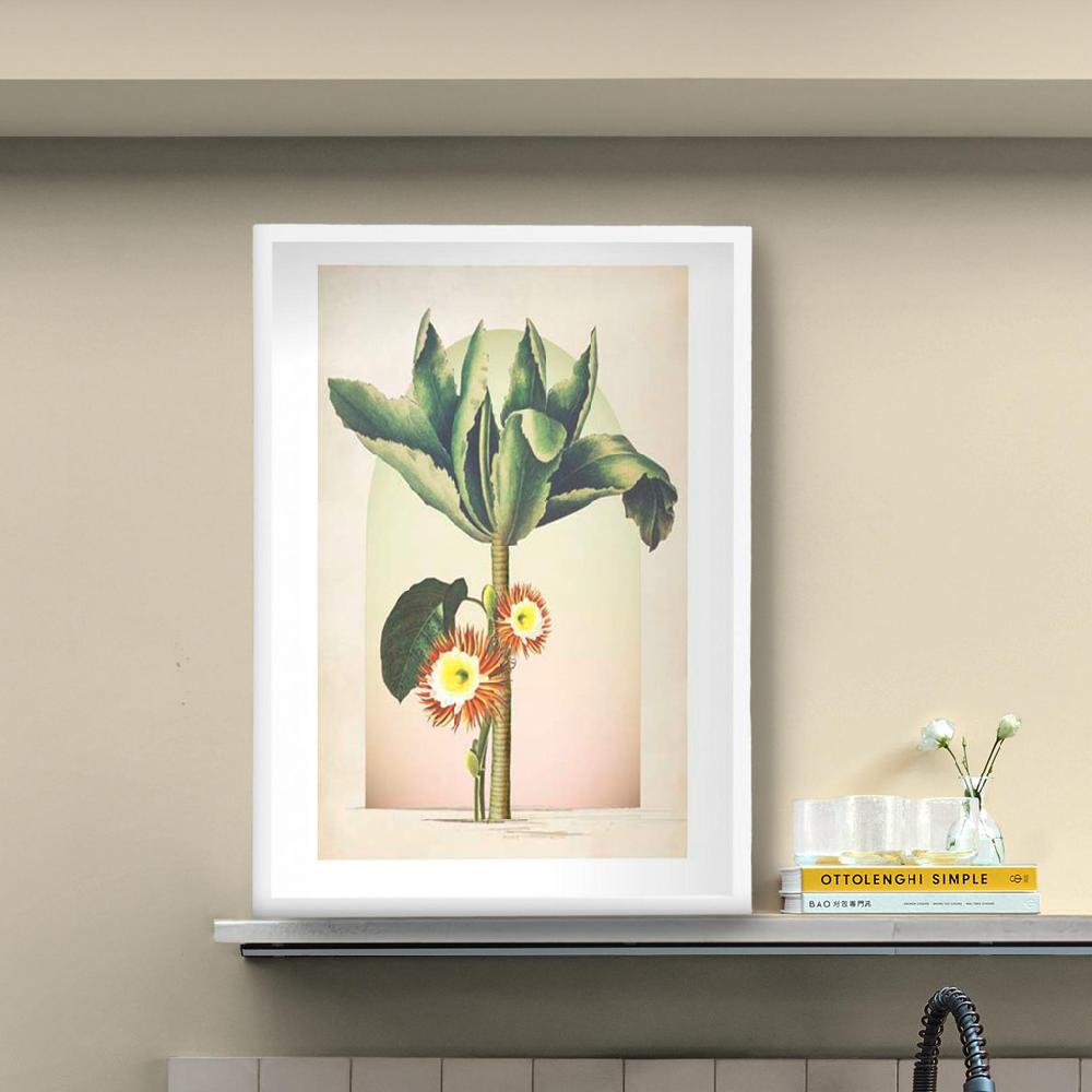 Graham & Brown Botanique Jungle Tree Multicolor Wall Art