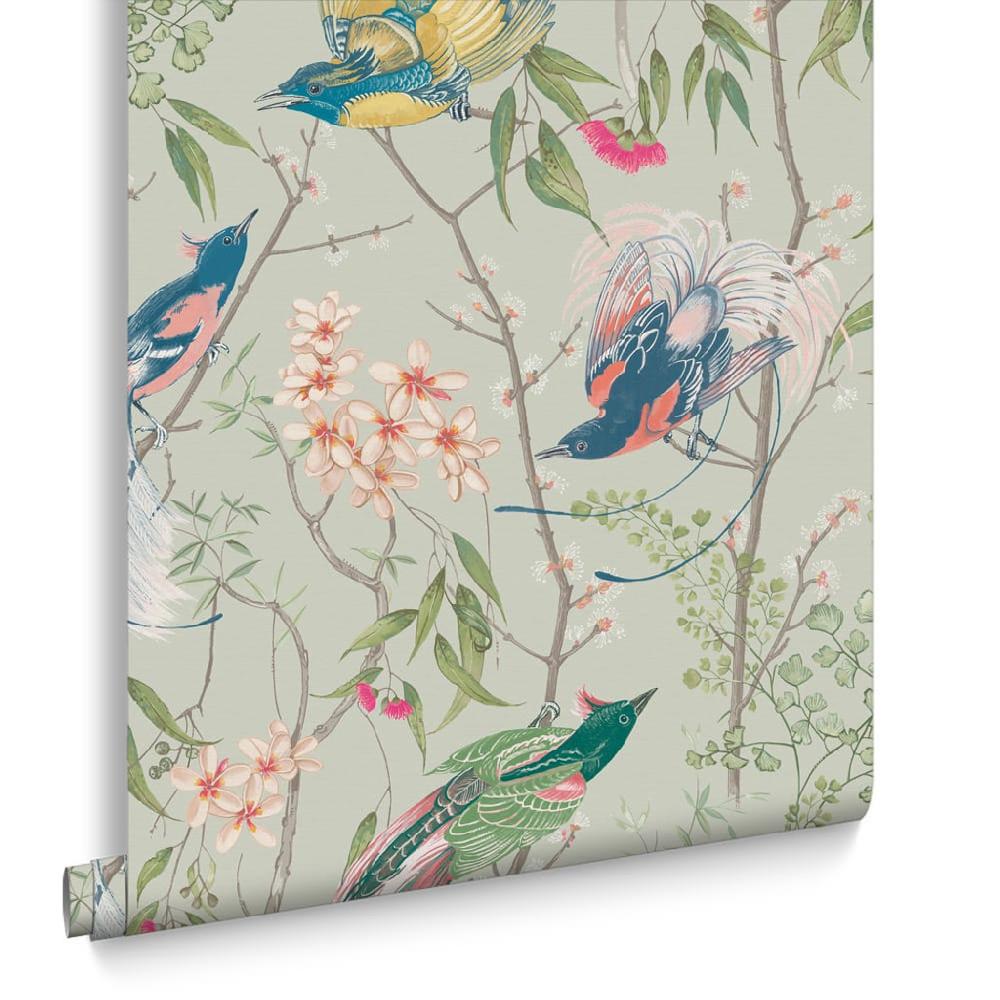 Graham & Brown Clavering Birds Morning Sage Wallpaper