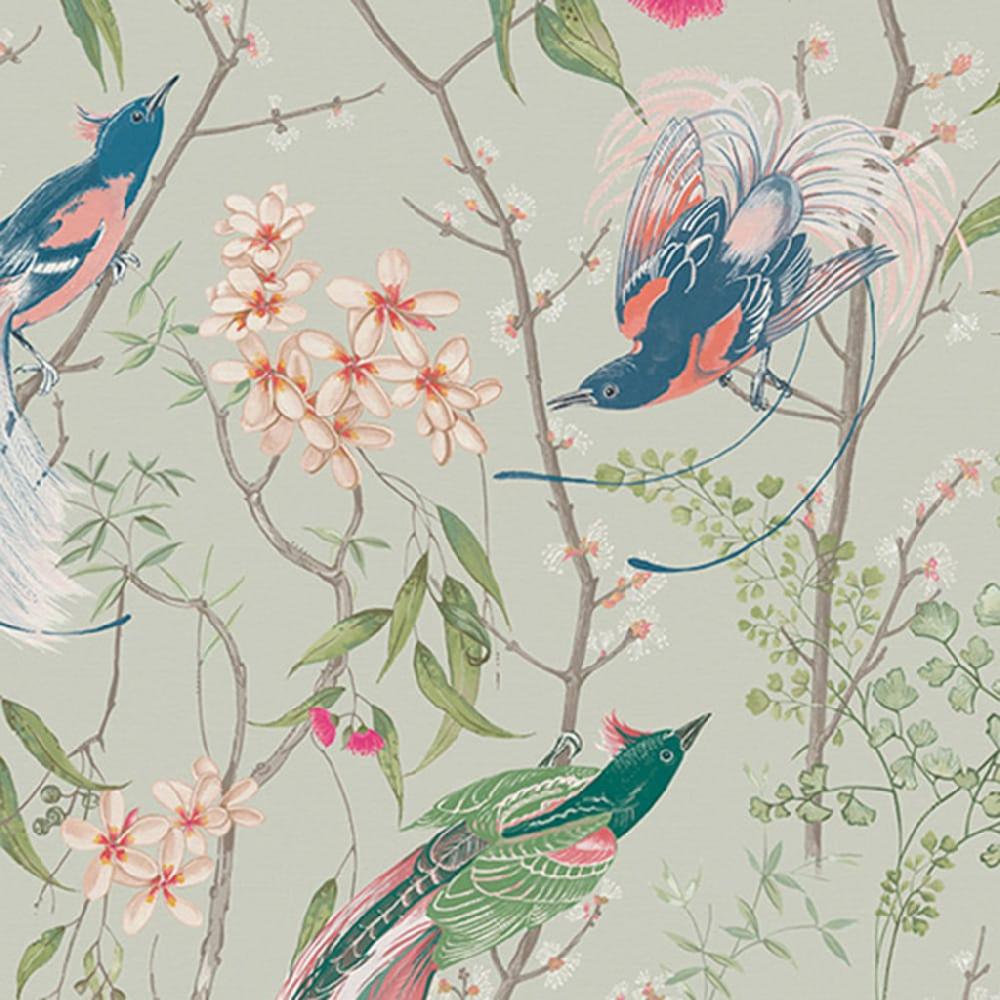 Graham & Brown Clavering Birds Morning Sage Wallpaper