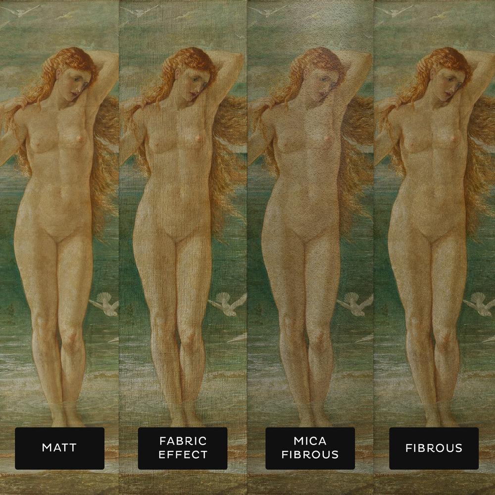 Graham & Brown Crane The Renaissance Of Venus Bespoke Mural