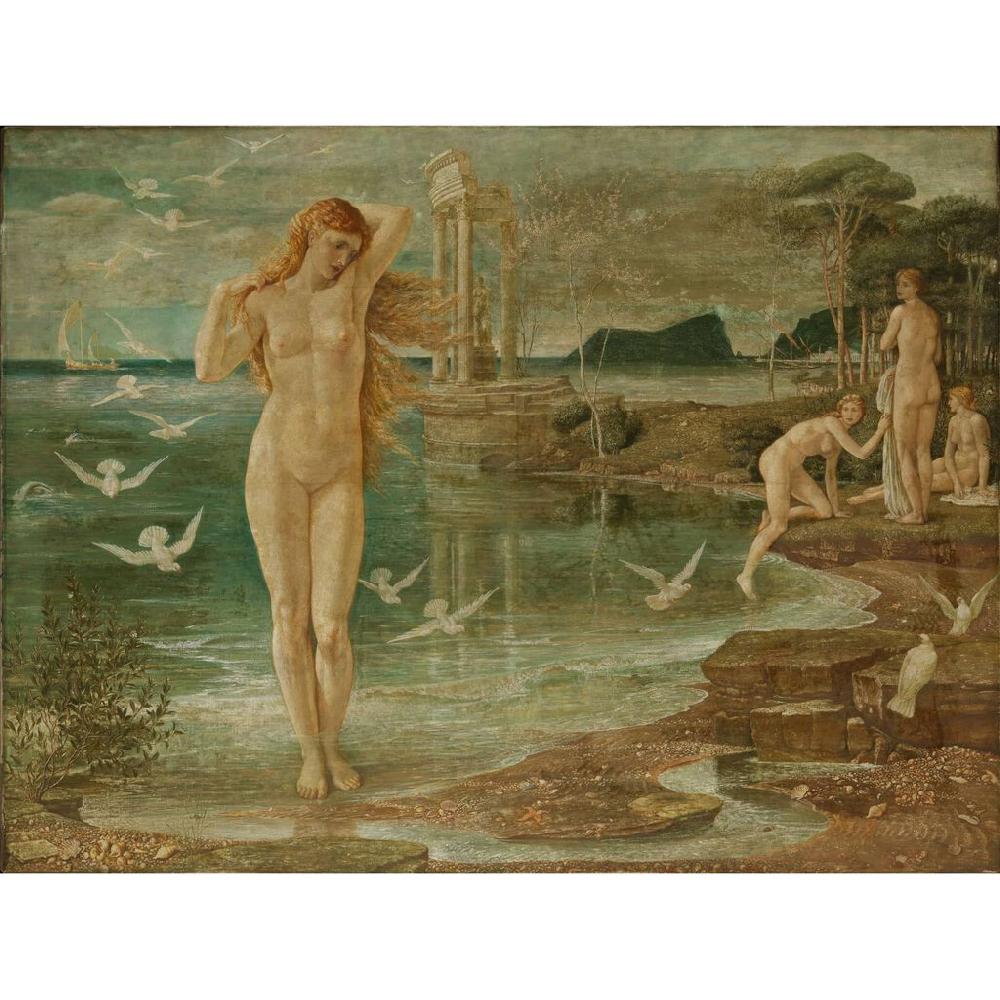 Graham & Brown Crane The Renaissance Of Venus Bespoke Mural