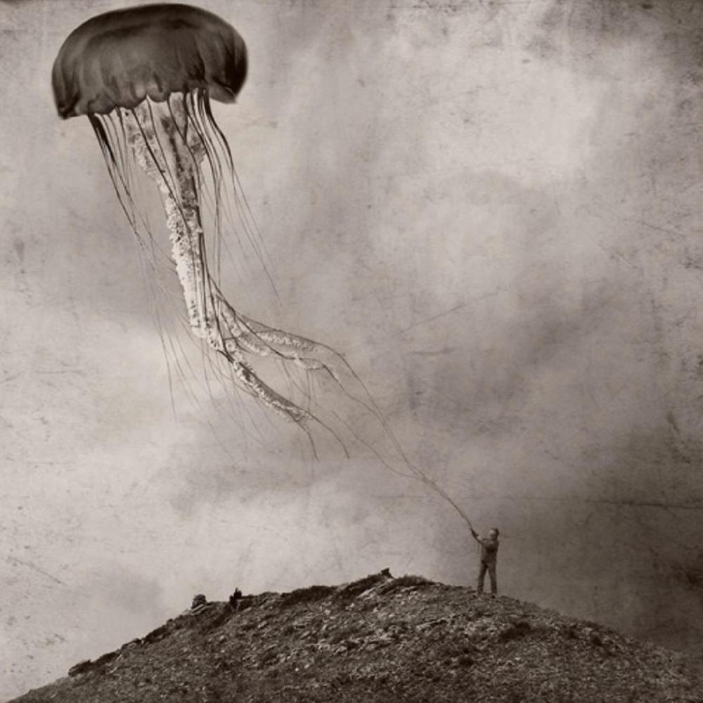 graham & brown A Curious Companion Natural Wall Art