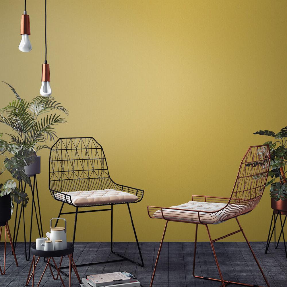 Graham & Brown Acacia Paint