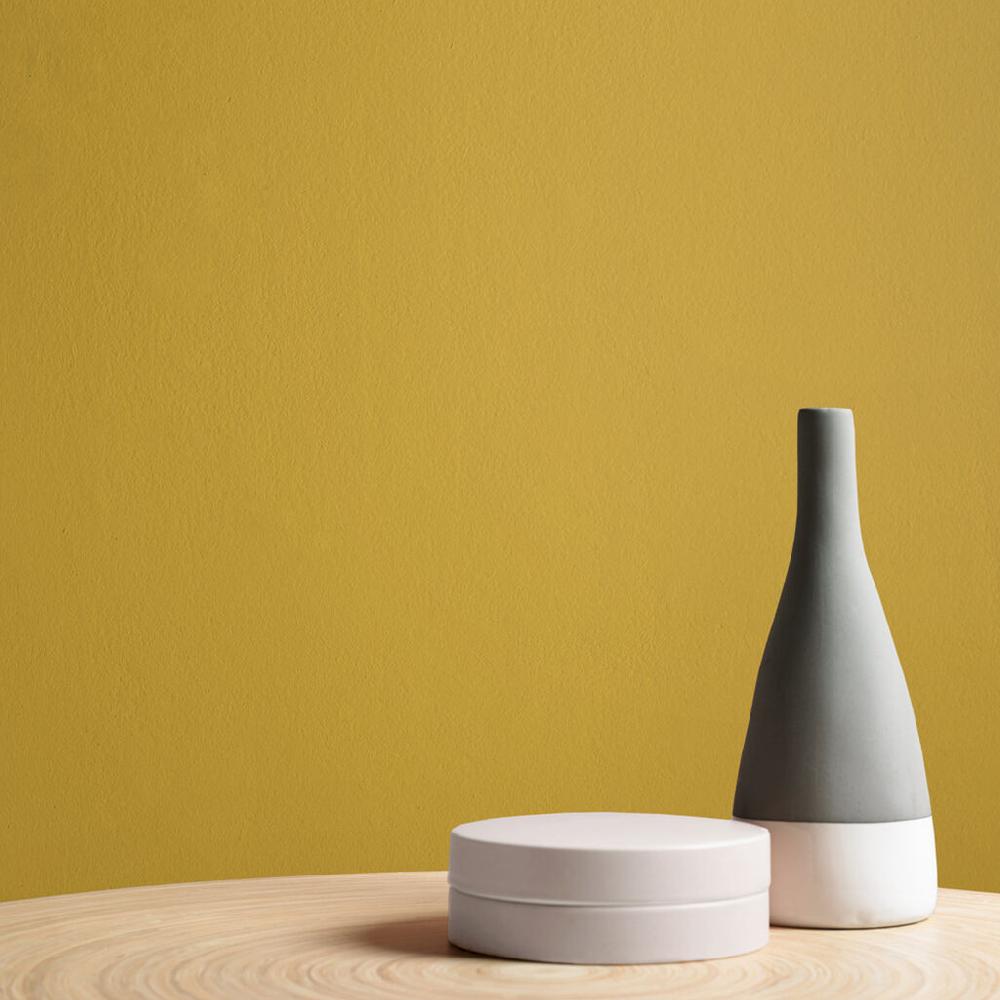 Graham & Brown Acacia Paint