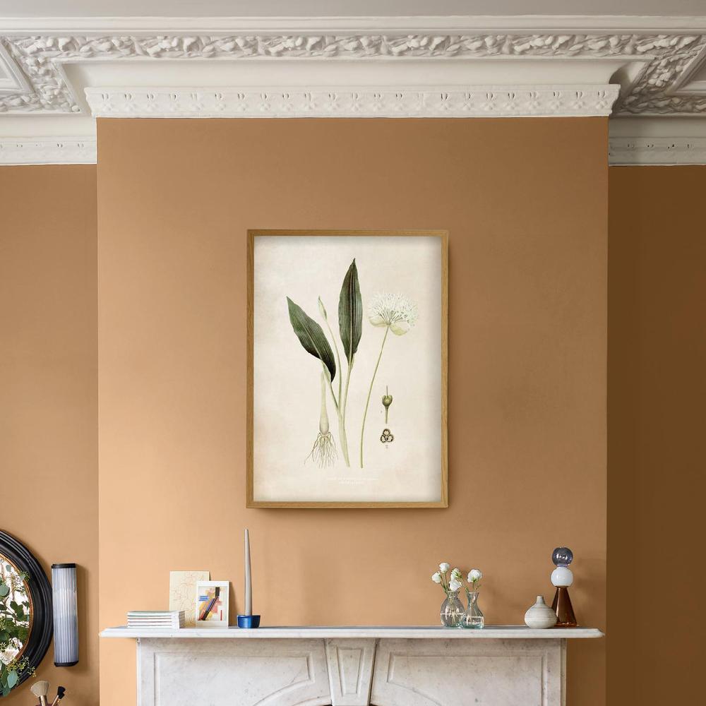 Graham & Brown Allium Ursinum Green Wall Art