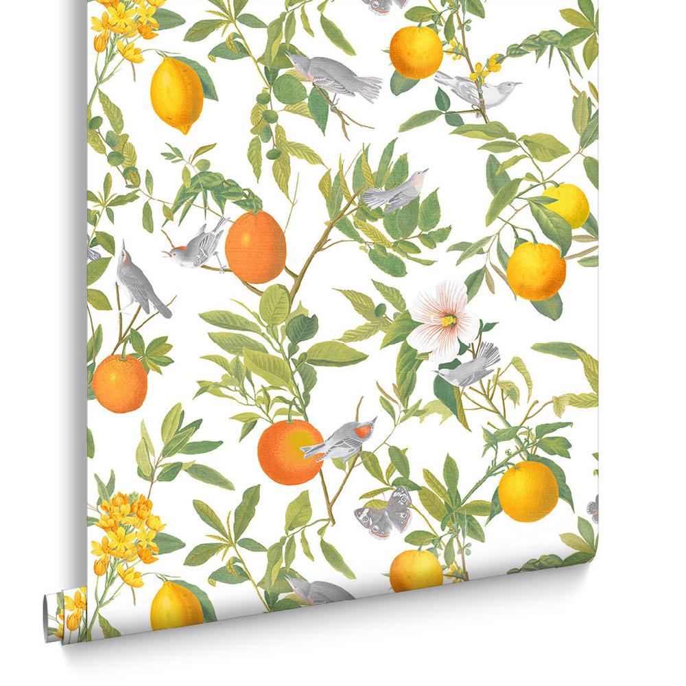 Graham & Brown Amalfi White Wallpaper